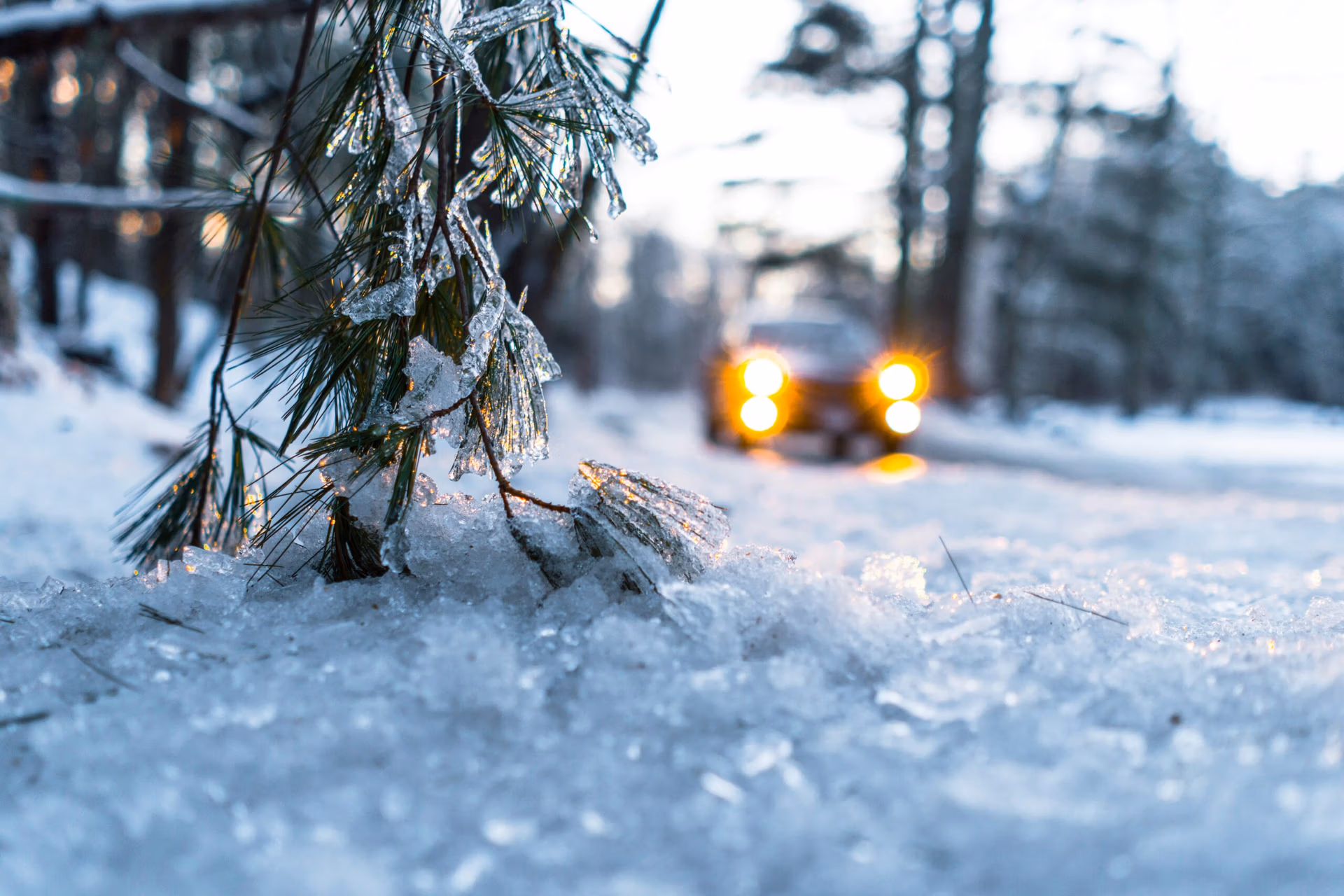 Winter sun sitting low? Automotive window tint reduces glare, blocks 99% of UV rays year-round, and improves fuel efficiency.